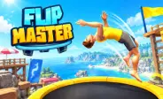 Flip Master image